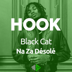 HOOK - Black Cat - Na Za Désolé